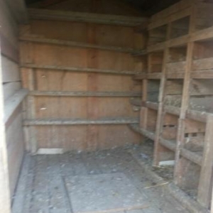 iki dånå göyercin yuvasi satilir.