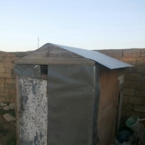 iki dånå göyercin yuvasi satilir.