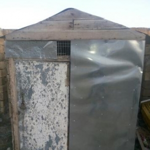 iki dånå göyercin yuvasi satilir.