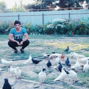 her sort goyercinler var