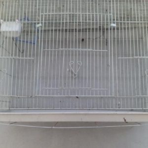 qefes satilir cox az iwlebib. Eni hundurluyu 46sm  uzunu 77 sm