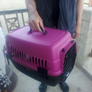 Qəfəs yenidir, whatsapp aktivdir və ya nömrəyə zəng edib maraqlana bil