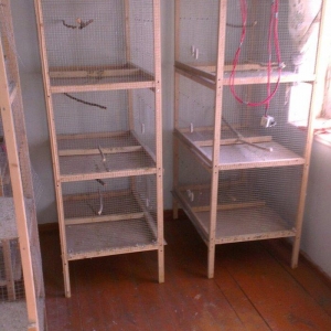 Qefesler satilir 6 yerlik 70 azn 3 yerlik 30 azn