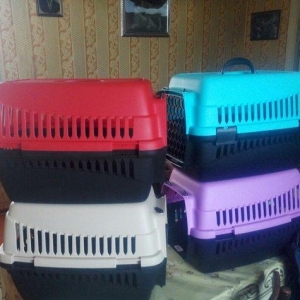 Dawiyici qəfəs, Türkiyə istehsalı, bu rənglərdən əlavə firuzeyi və roz