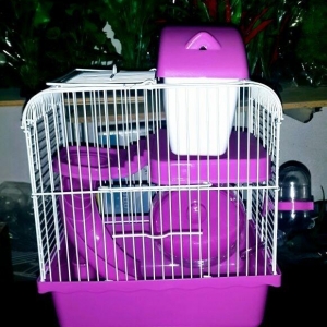 Xamyaklar ve chunqarikler ucun teze qefes her bir aksesuarlari ile bir