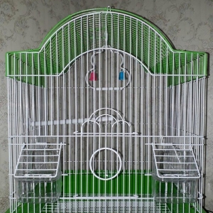 Papuqayalarcun boyuk ve genis qefes tezedir her bir aksesuarlari ile b