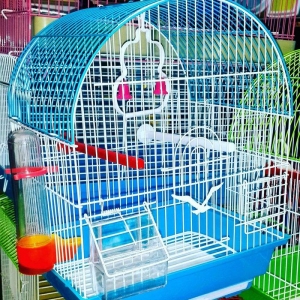 teze qefes satilir icinin her bir aksesuari ustunde verilir.
Diger ela