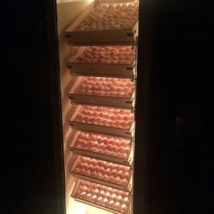 Her ölçüde İnkubator sifarisi qebul olunur. İnkubatorlar vitrin xalade