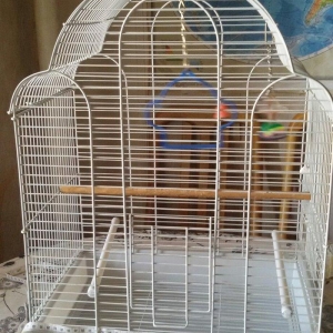 Quş yuvası satılır. Az istifadə olunub. Ölç