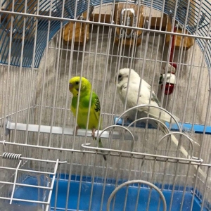 Продаётся! купили недавно ,из за того что дома маленький ребёнок не