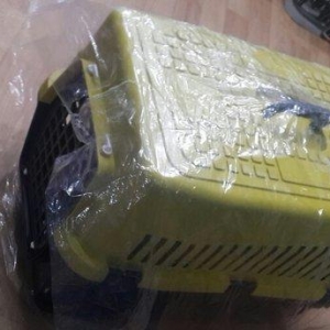 Sevimli ev heyvanlari it ve piwiklerin dawinmasi u