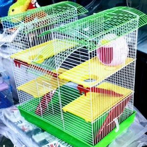 Teze iki mertebeli xamyak qefesi  satilir. Wekilde