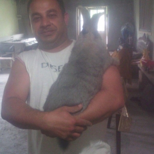 Fevralin balasidi 2 dene erkey  rizen. Cekisi 7 kilodan yuxaridi. Sati