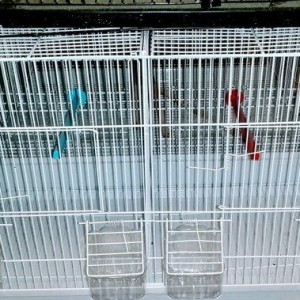 Teze iri arakesmeli qefes satilir. Iconin gorduyun