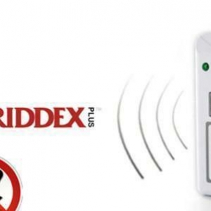  riddex plus pest pepeller – zərəvericilərə qarşı problemin effektiv h