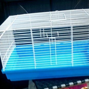 Teze qefes  satilir. Dovwan ve marakoy svinkalarcu