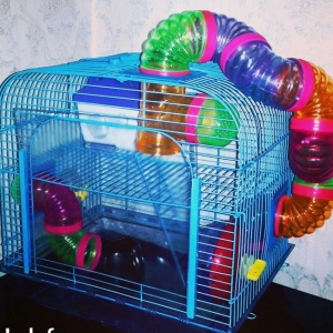 Teze iri Aksesuaurli Xamyak cunqarik qefesi satili