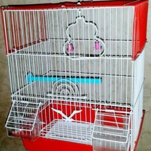 Iri qefes satilir. Su qabi , yem qabi,  papuqay  durmasi ucun cubuq ve