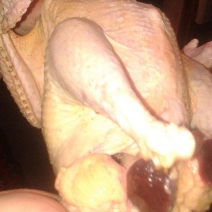 Salam.tam saglam və bəslənmiş qaz və ördəylər.həm diri həmdə.kəsilib