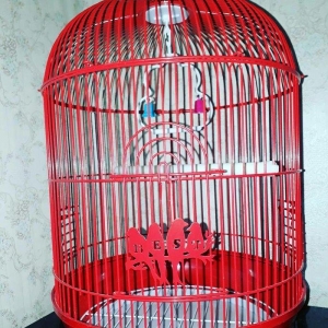 Quslarcun teze qefes her bir aksesuarlari ile birl