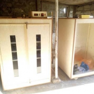 isdenilen yumurta sayına görə inkubatorlar yiqilir tam aftamat və zəma