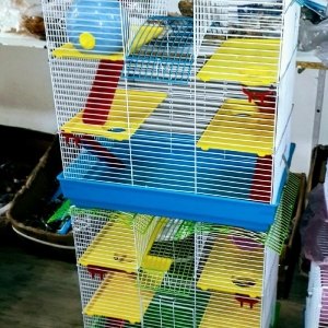 Teze iki mertebeli xamyak qefesi  satilir. Wekilde