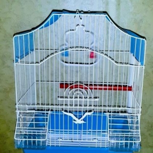 Teze qefes satilir. Su qabi ,yem qabi,  papuqay durmasi ucun cubuq ve