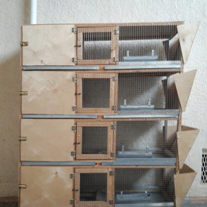 Qus ve dovsan saxlamaq ucun ela serayetli kletka 4