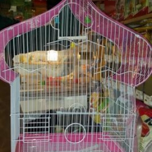 Iri qefes satilir. Su qabi , yem qabi,  papuqay  d