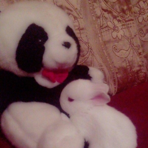 bala dosanlar satiram 7azn isdeyen vapcata ve yaxud zeng etsin