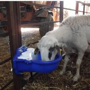 Heyvan su qablari ( 2. 5 litrlik  ) 34 aznavtomatik heyvan su