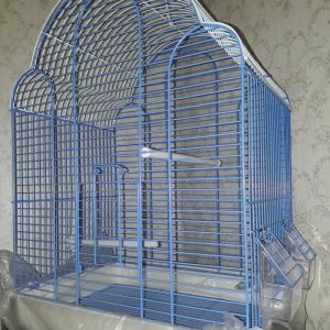 Quslarcun (korellalar ve diger boyuk papuqaylar) t