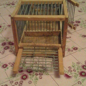 Bülbül və ya kiçik ölçülü quşlar tutmaq üçün tələ satıram.