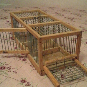 Bülbül və ya kiçik ölçülü quşlar tutmaq üçün tələ satıram.