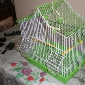 Salam! Tutuqusu qefesleri satilir her rengi var. Hamisi yenidi birgun