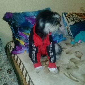 7 aylıqdılar ikiside dişidi .keserkay emelyati ile dunyaya gelibler .h