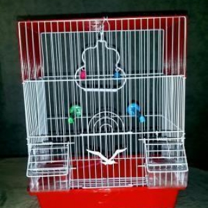 Teze qefes satilir. Su qabi ,yem qabi,  papuqay durmasi ucun cubuq ve