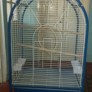 Boyuk qefesdi demek olar ki tezedi. Cemi 1 ay icinde quw olub. 350