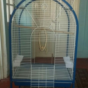 Boyuk qefesdi demek olar ki tezedi. Cemi 1 ay icinde quw olub. 350