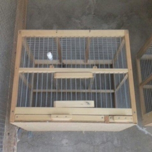 Hamya  Salam  Qəfəs biri 12 manat ikisini  ğöturən olsa  edirim  edərə