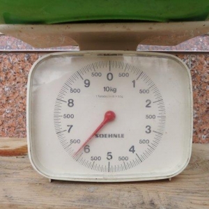 Temiz kuban sortu ordekler. 12 eded,unvan ;bine qes