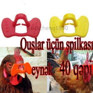 Quşlar üçün şpilkasız eynək. O birilərind