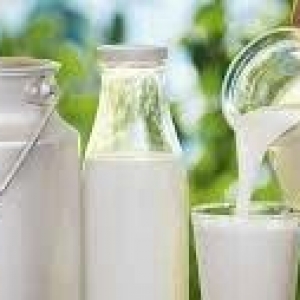 sud qebulu keyfiyetli yagli sud aliram her gun 50-100 litir qebul ol