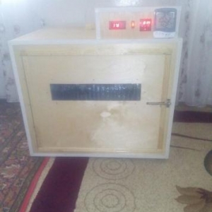 isdenilen yumurta sayına görə inkubatorlar yiqi