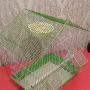 Qefes satılır her şeyı  üstündə 15 azn  Tecili satılır whatsapp