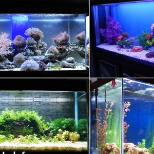 Ag və göy rəngdə ikisi birlikdə yanan led lampalar. Led 50sm 18azn