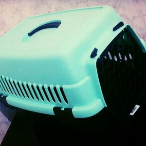 Teze iri It ve piwiklerin dawjnmasi ucun Turkiye i