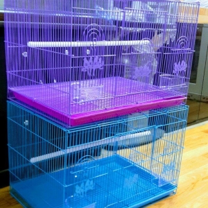 Teze iri qefes satilir icinin her bir aksesuari us