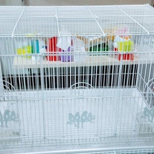 Iri teze qefes satilir. 65×45×45 ara kesmeside var istesez 2 qefes kim