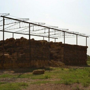Ferma.Saatlı rayonunda.180 ha hektar torpaq sahesi.500 baş qoyun quzu.